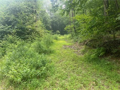 Lot 10 Off Camp Run Road Donegal PA 15628
