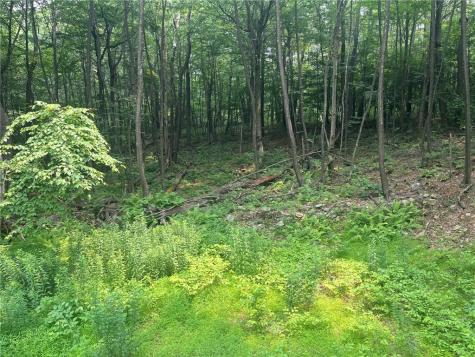 Lot 10 Off Camp Run Road Donegal PA 15628
