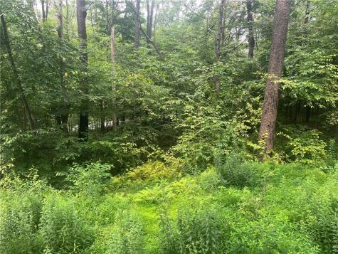 Lot 10 Off Camp Run Road Donegal PA 15628