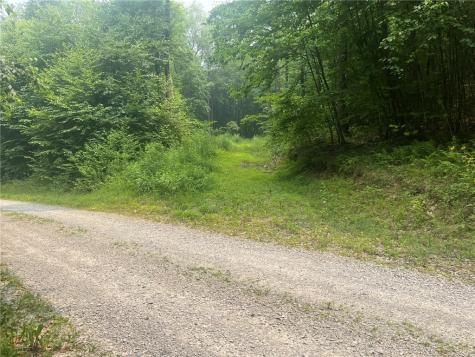 Lot 10 Off Camp Run Road Donegal PA 15628