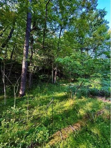 0 Nellie School Road Dunbar Township PA 15486
