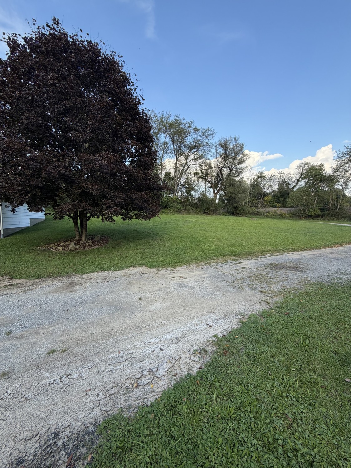 113 Railroad Street Chicora Boro PA 16025