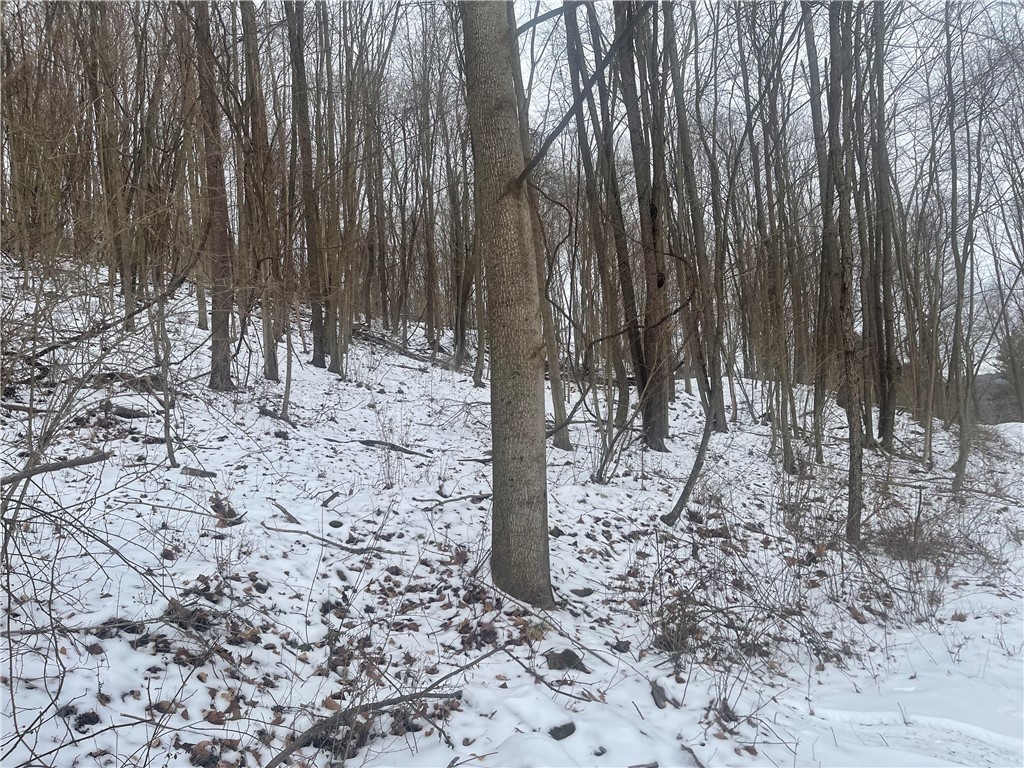 130 Wood Fairfield Township PA 15923