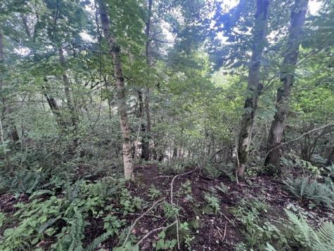 983 Lakewood Neshannock Falls Road Hickory Township PA 16105