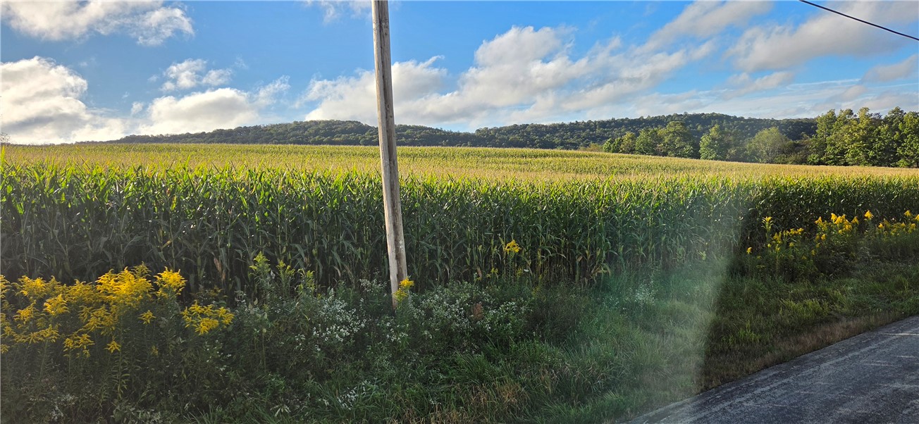00 W Bakersville Edie Road Jefferson Township PA 15501