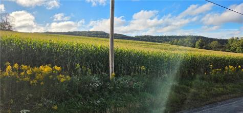 00 W Bakersville Edie Road Jefferson Township PA 15501