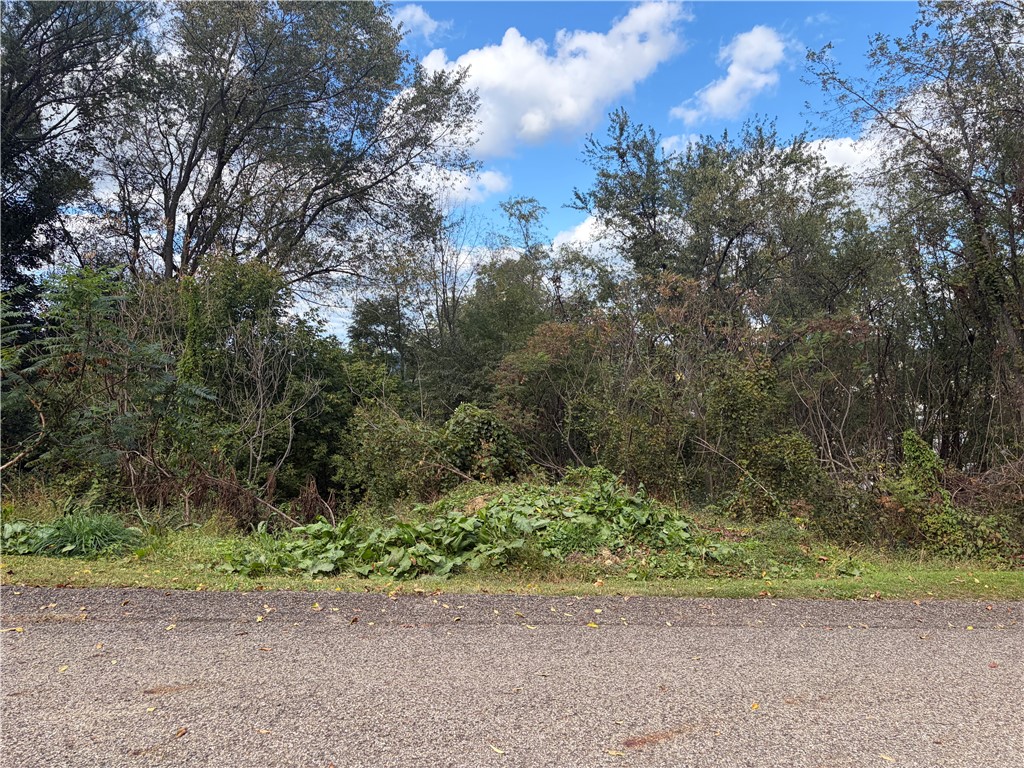0000 Wigwam Road Hopewell Township PA 15001
