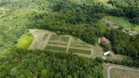 115 Dreher Farm Lane Summit Township PA 16002