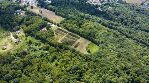 115 Dreher Farm Lane Summit Township PA 16002