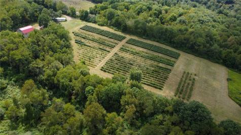 115 Dreher Farm Lane Summit Township PA 16002