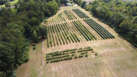 115 Dreher Farm Lane Summit Township PA 16002