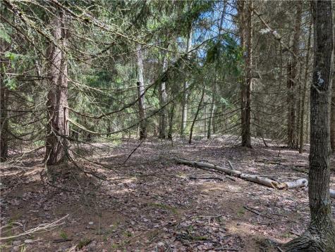 435 Daubenspeck Road Parker Township PA 16049