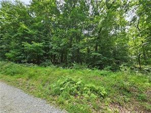 Lot 17/18 Tanager Derry Township PA 15670