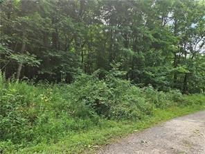 Lot 17/18 Tanager Derry Township PA 15670