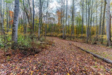 Tbd Bortz Mine Road Port Marion PA 15451