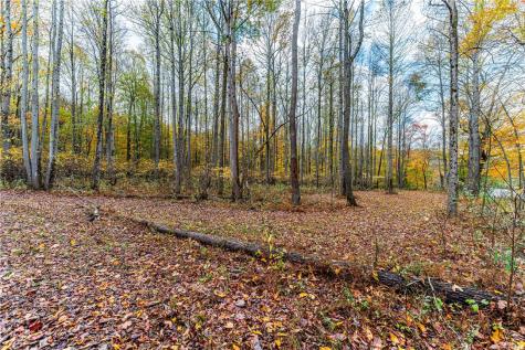 Tbd Bortz Mine Road Port Marion PA 15451