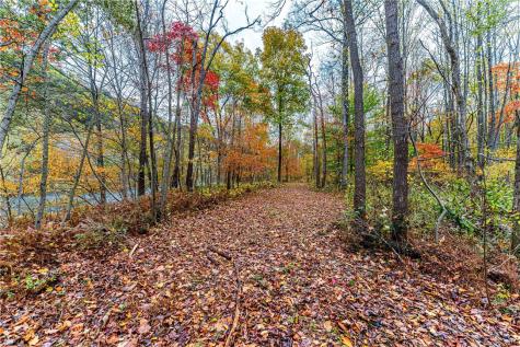 Tbd Bortz Mine Road Port Marion PA 15451