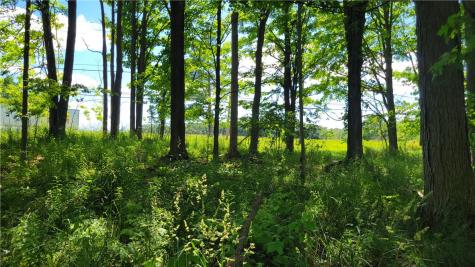 0 Felgar Road Somerset Township PA 15501