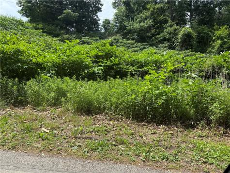 Lot #3 Laurel Hill Drive West Homestead PA 15120