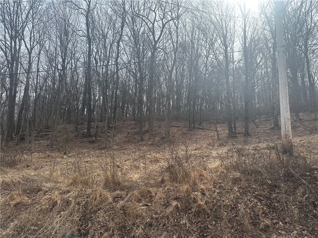 Lot 6 10 School Road Derry Township PA 15670