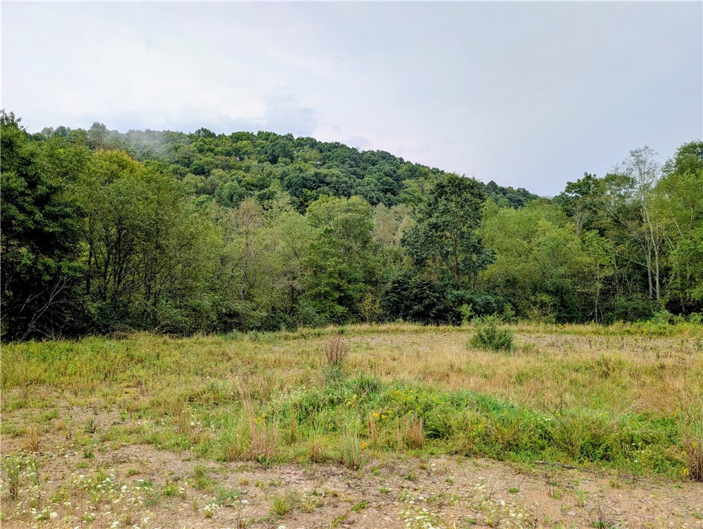0 Little Rock Road Wayne Township PA 16201