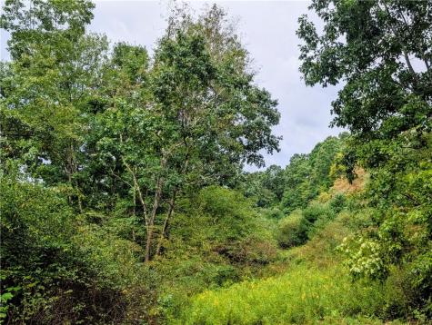 0 Little Rock Road Wayne Township PA 16201