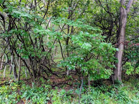 0 Little Rock Road Wayne Township PA 16201