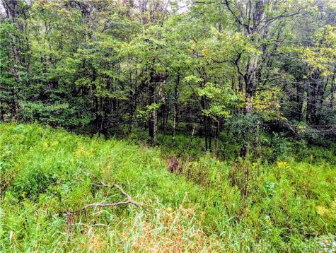 0 Little Rock Road Wayne Township PA 16201