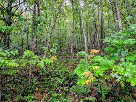 0 Little Rock Road Wayne Township PA 16201