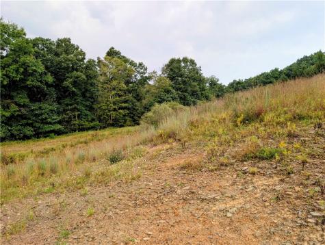 0 Little Rock Road Wayne Township PA 16201