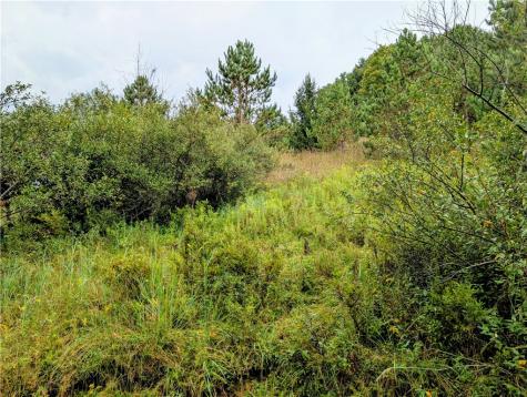 0 Little Rock Road Wayne Township PA 16201
