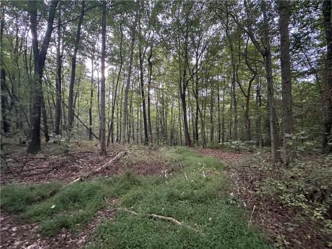 125 Blue Rock Road & Gameland Road Sugarcreek Township PA 16028