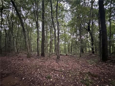 125 Blue Rock Road & Gameland Road Sugarcreek Township PA 16028