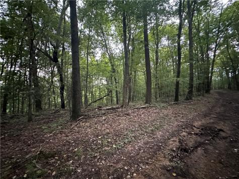 125 Blue Rock Road & Gameland Road Sugarcreek Township PA 16028
