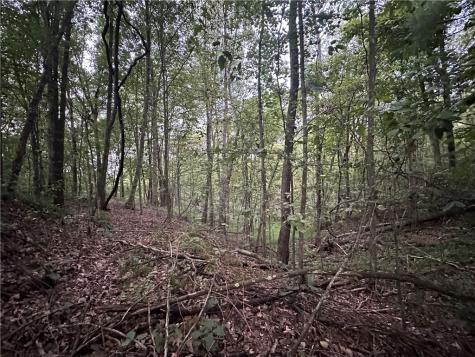 125 Blue Rock Road & Gameland Road Sugarcreek Township PA 16028