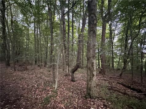 125 Blue Rock Road & Gameland Road Sugarcreek Township PA 16028