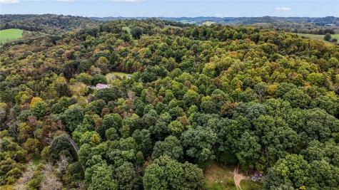 00 Blockhouse Run Road West Finley PA 15323