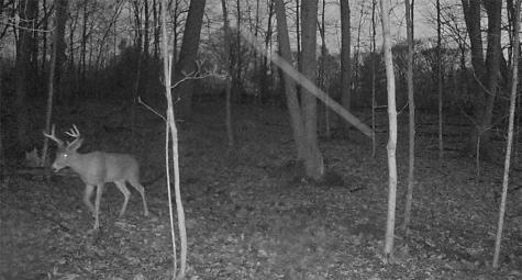 0 Campground Road Shenango Township PA 16159