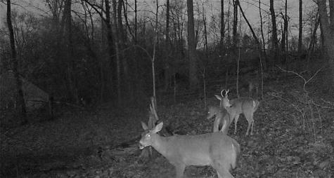 0 Campground Road Shenango Township PA 16159