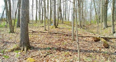 0 Campground Road Shenango Township PA 16159