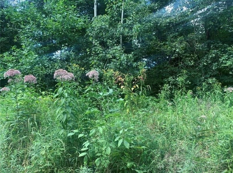 Lot 2b & 4 Vickerman Road E Lackawannock Township PA 16137