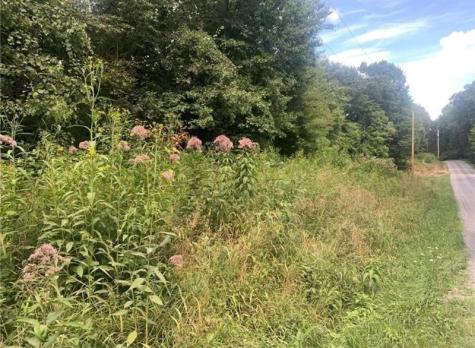 Lot 2b & 4 Vickerman Road E Lackawannock Township PA 16137