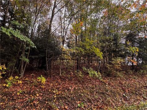 Lot 1 Dobbs Road Athens PA 16438