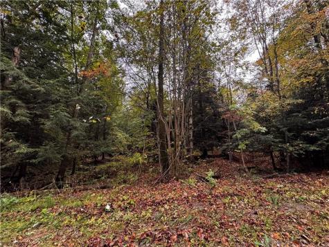 Lot 1 Dobbs Road Athens PA 16438