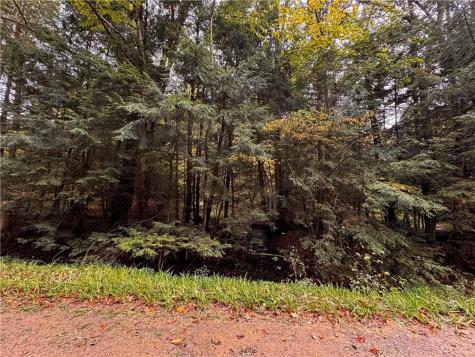 Lot 1 Dobbs Road Athens PA 16438