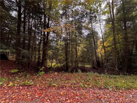 Lot 1 Dobbs Road Athens PA 16438