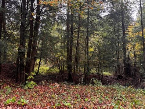 Lot 1 Dobbs Road Athens PA 16438
