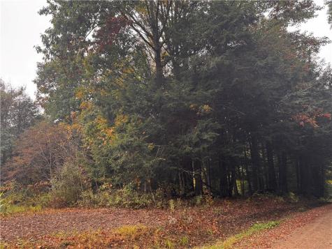 Lot 1 Dobbs Road Athens PA 16438