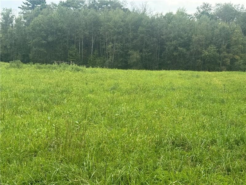 1341 S Center Street Extension Pine Township PA 16127