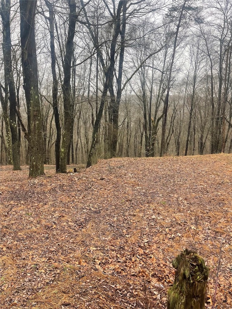 Lot 5 Blauser Lane Parker Township PA 16050
